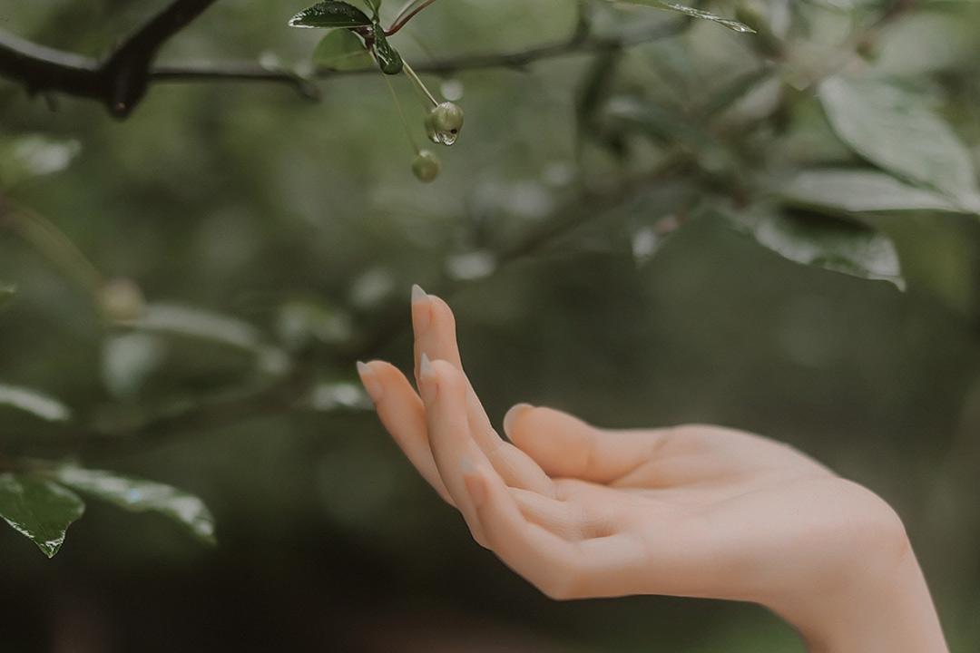 春雨经典古诗大全（10首美到令人心醉的春雨诗词）