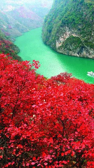 静赏绚烂秋日，慢数似水流年（10首红叶诗词唯美）