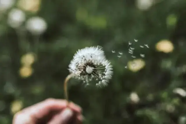 悲伤经典诗词有哪些（推荐5首悲伤诗词）