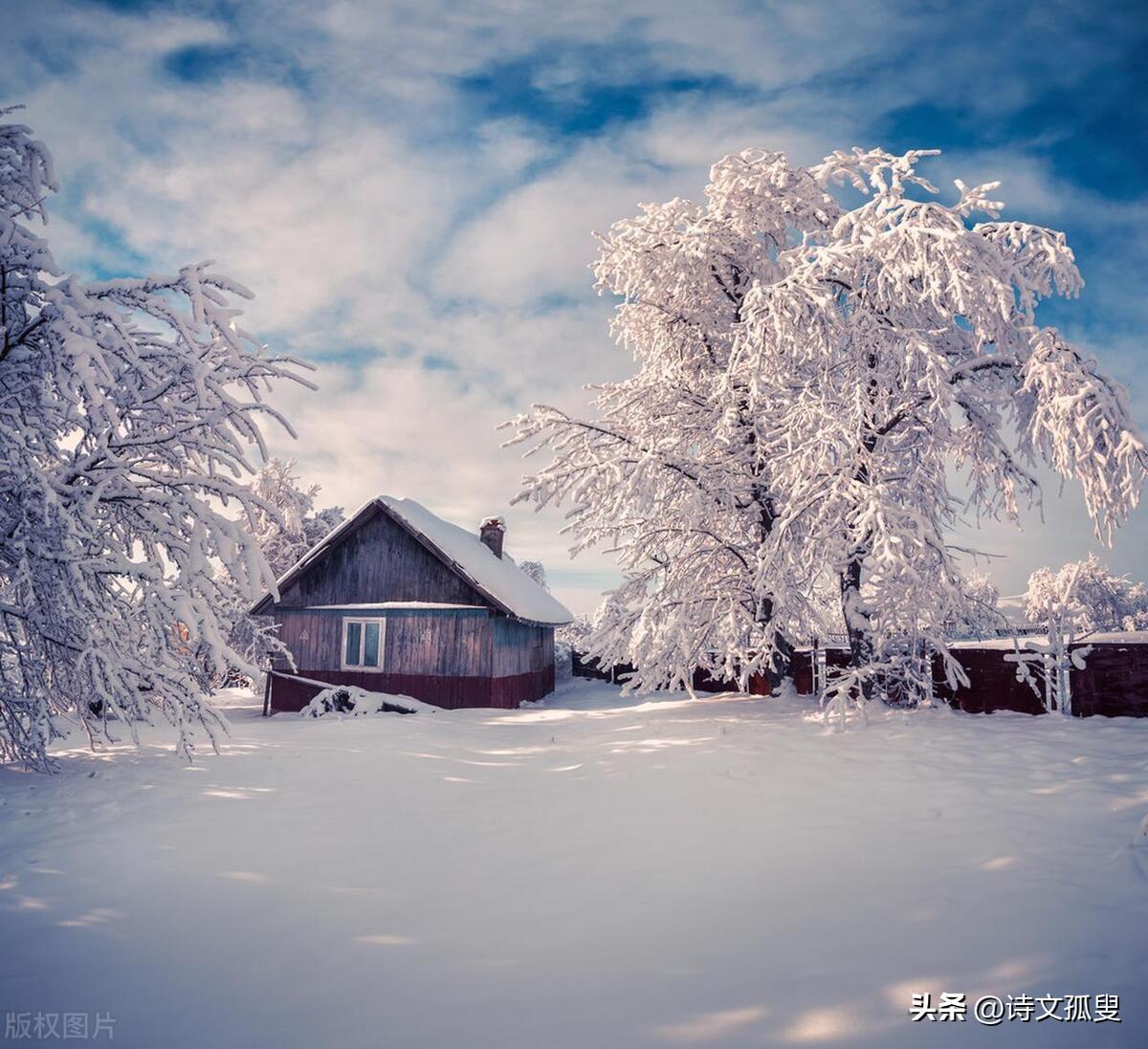 大雪经典古诗词（赞美大雪美景古诗）