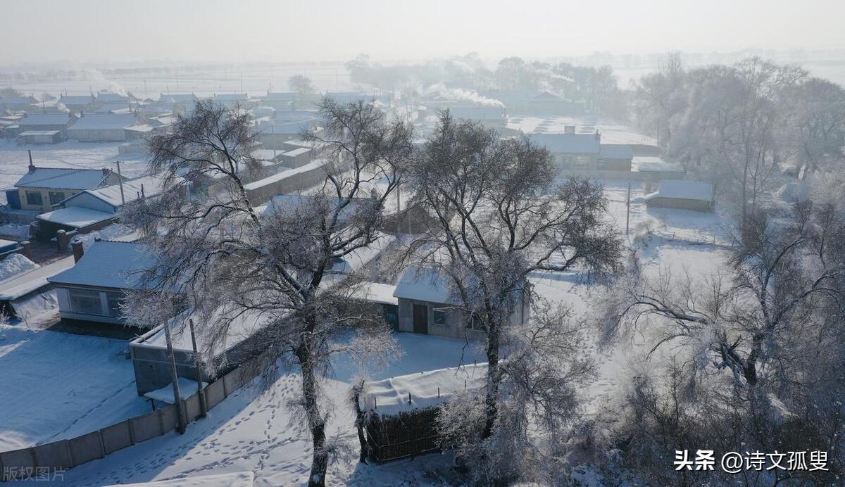 大雪经典古诗词（赞美大雪美景古诗）