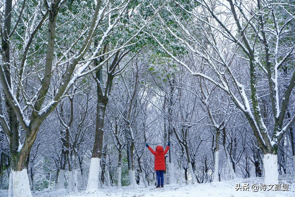 大雪经典古诗词（赞美大雪美景古诗）