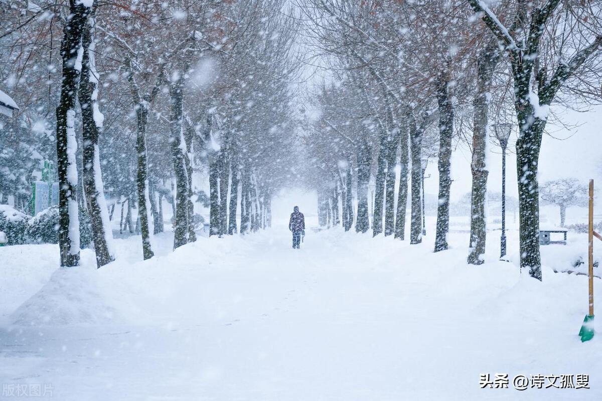 大雪经典古诗词（赞美大雪美景古诗）