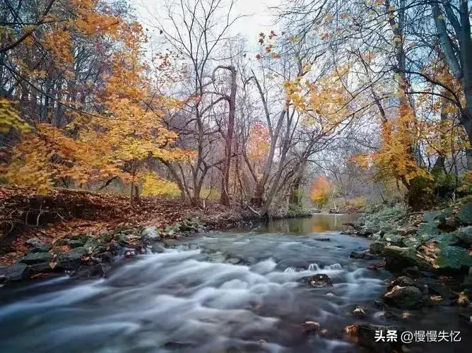 王维经典诗词名句（王维经典的12首五言律诗）