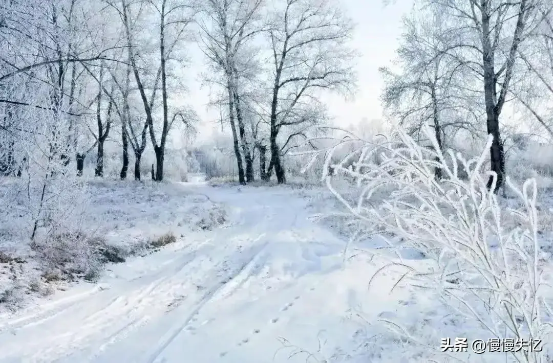 雪花飞下，浑似江南画（18首唯美冬日诗词）