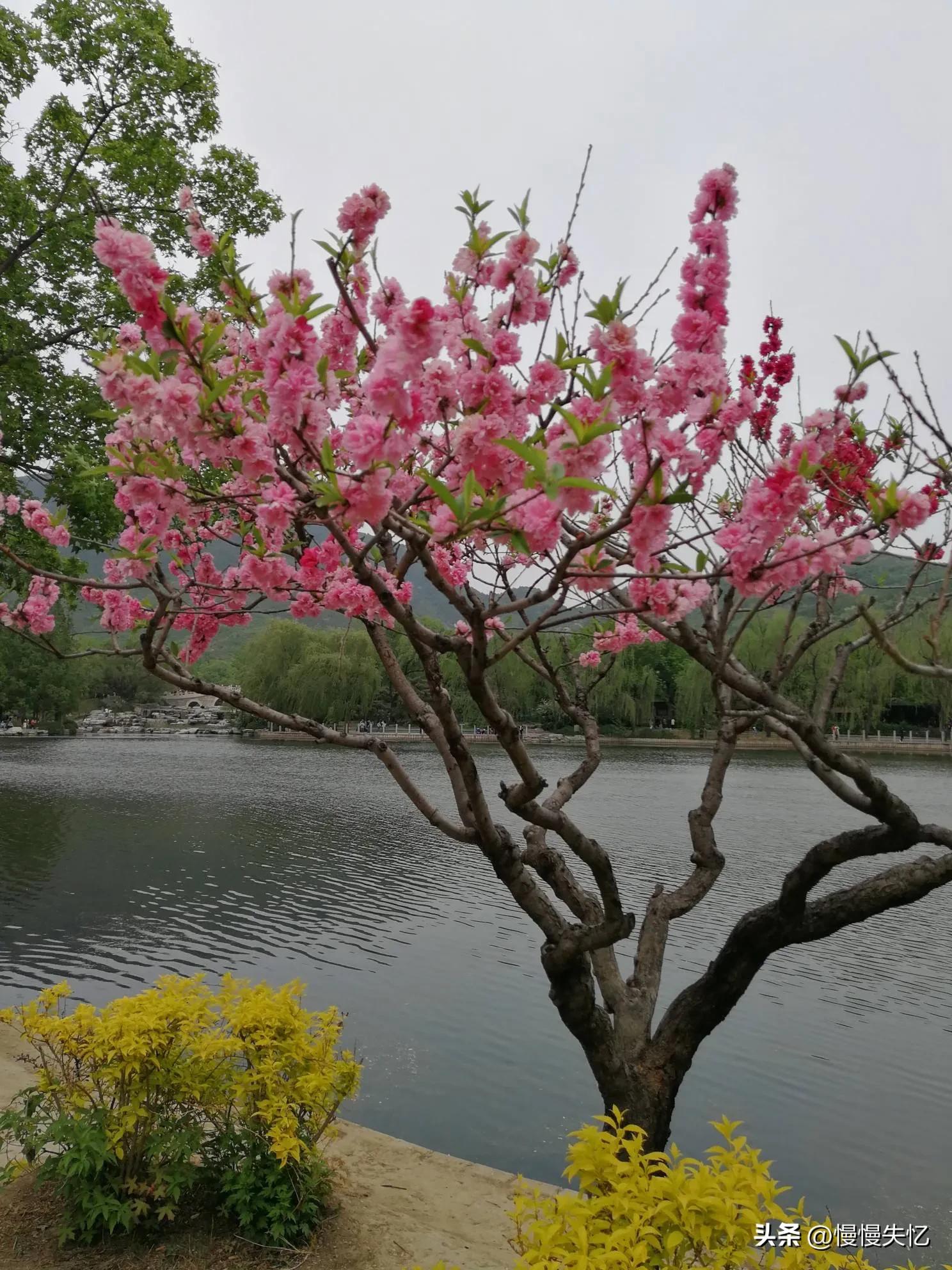 萧索清冷，意境浑厚（10首清代山水古诗词唯美）