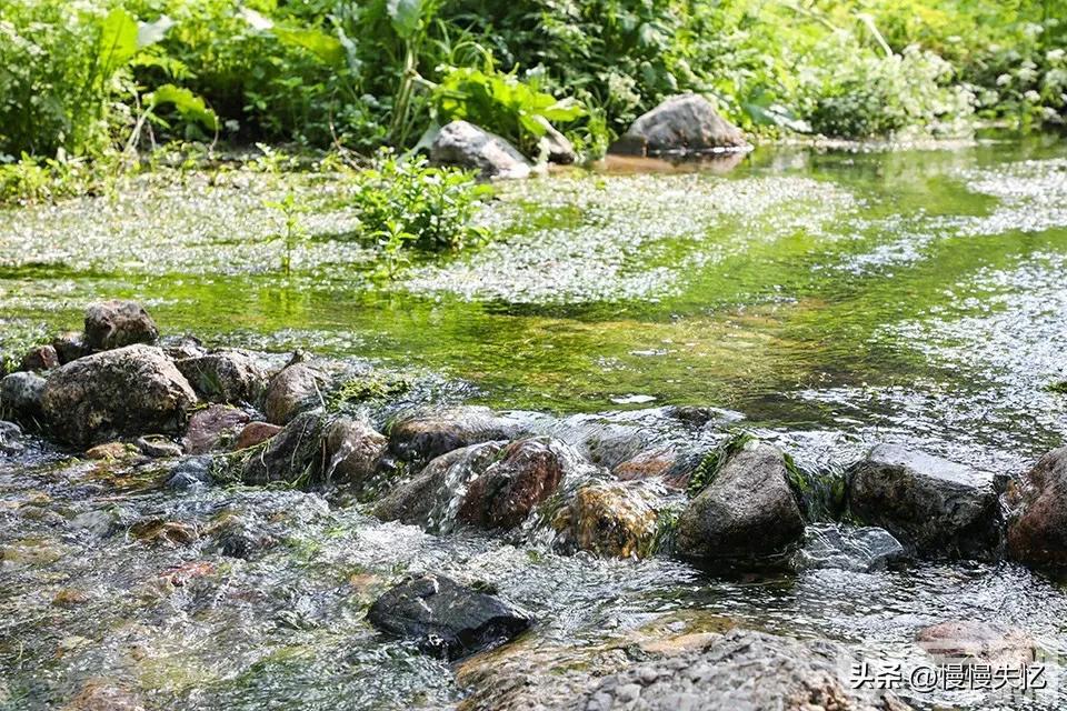 陆游14首初夏小诗（语言清新，格调明快）