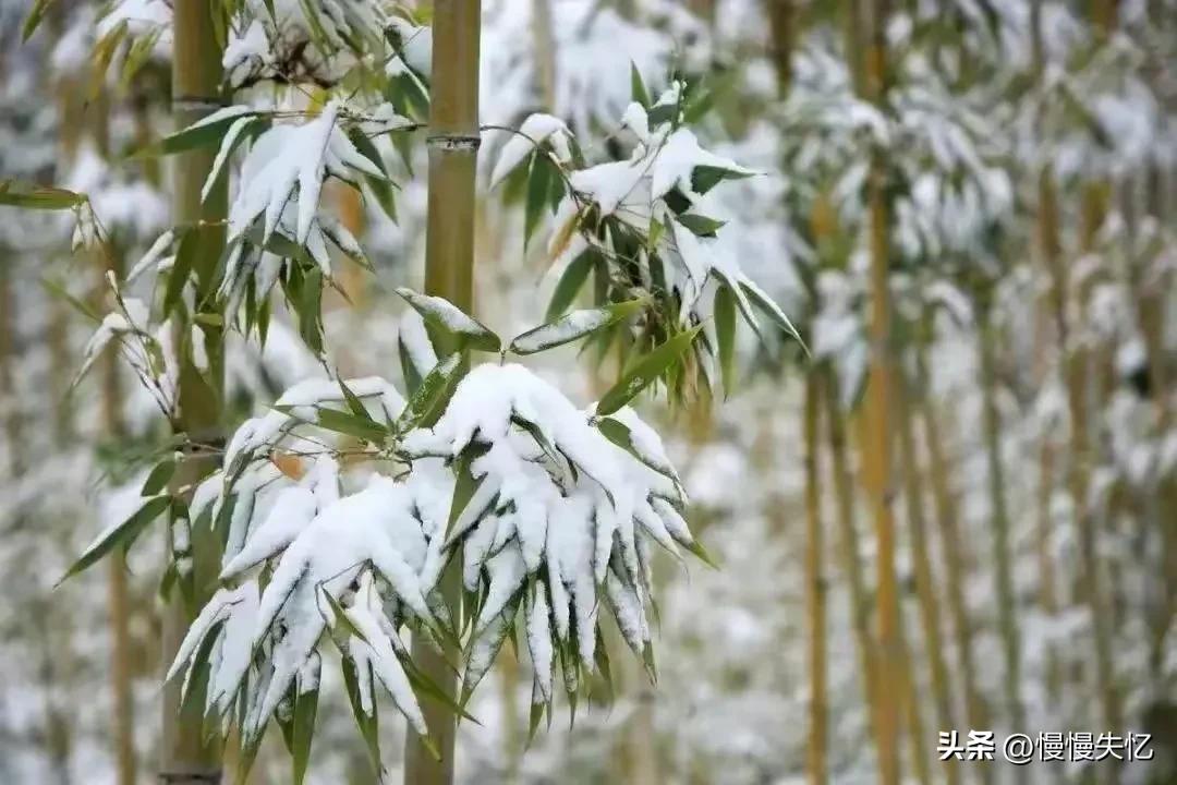 唐代经典古诗大全（经典的50首唐代五言绝句）