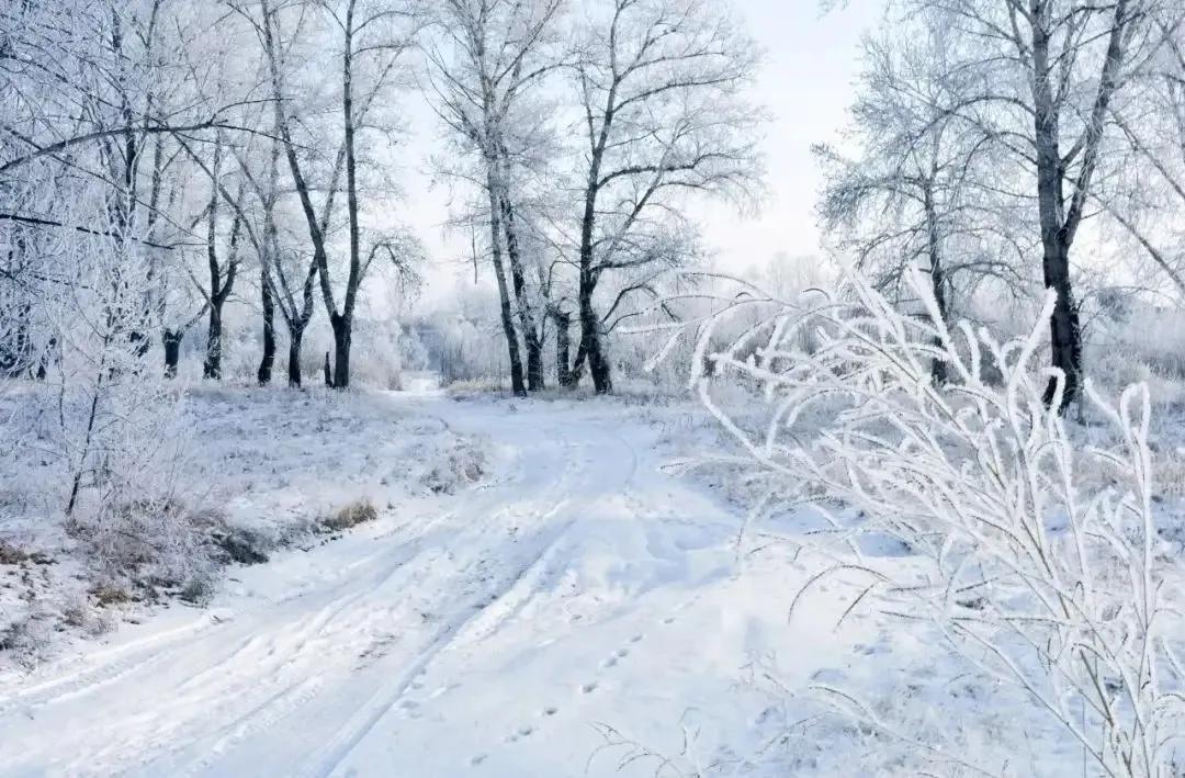 青海长云暗雪山，孤城遥望玉门关（十首唯美边塞雪景诗）