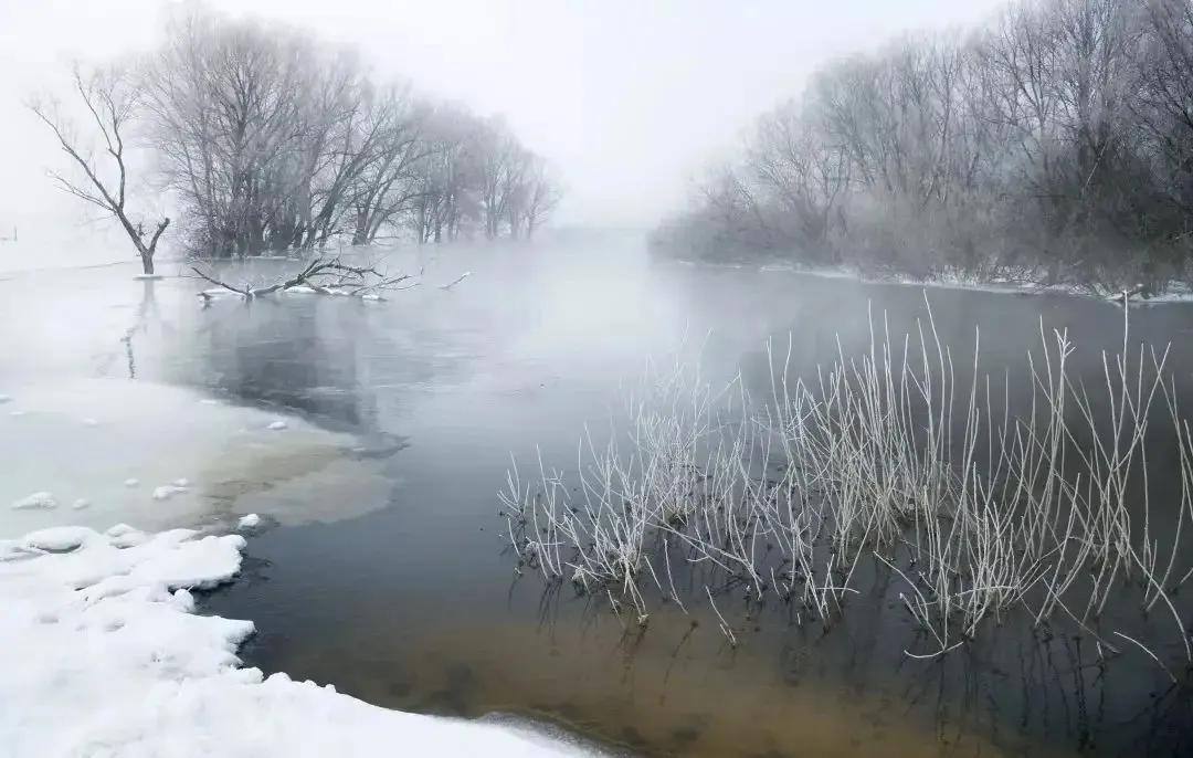 忽如一夜春风来，千树万树梨花开（优美冬雪诗三十首）