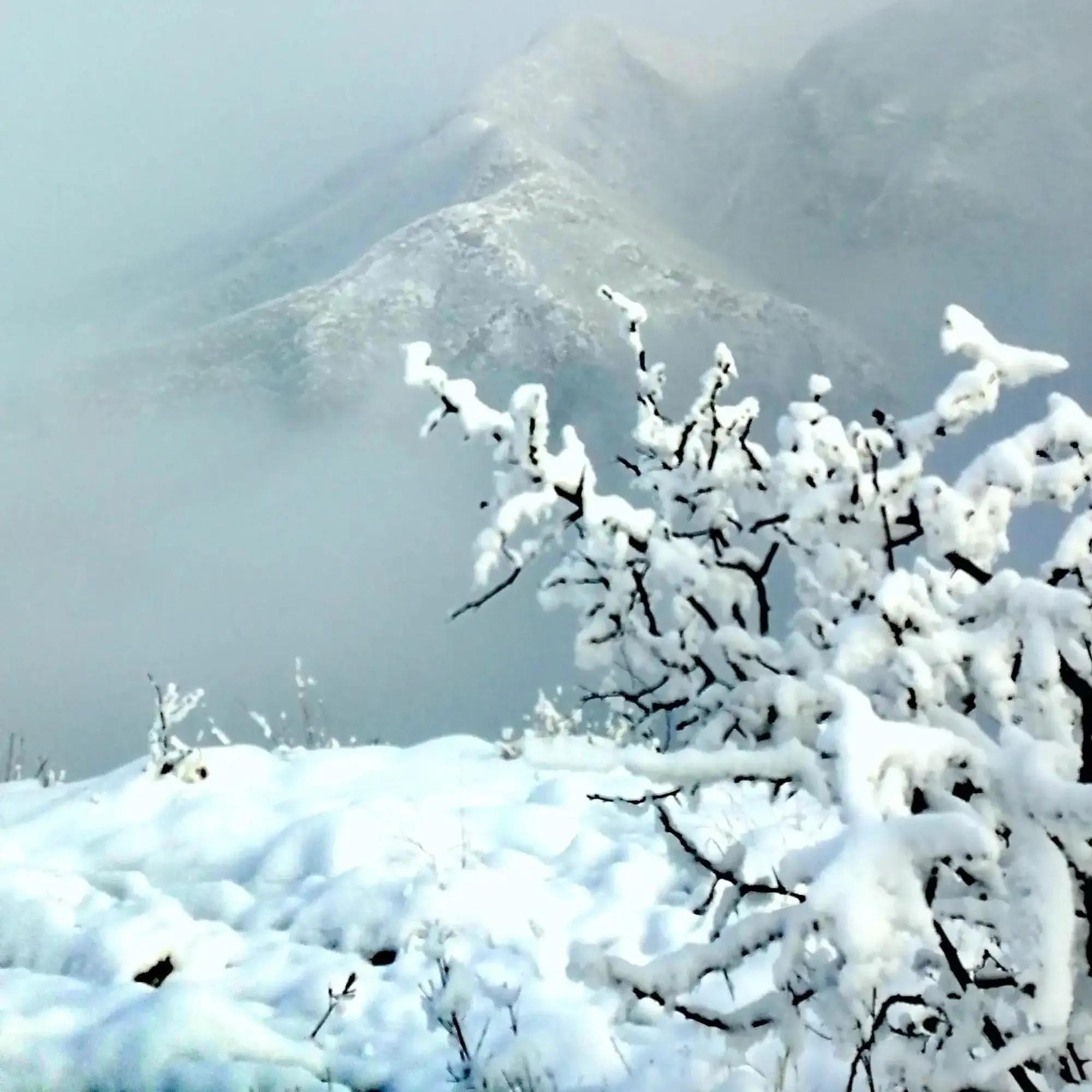 忽如一夜春风来，千树万树梨花开（优美冬雪诗三十首）