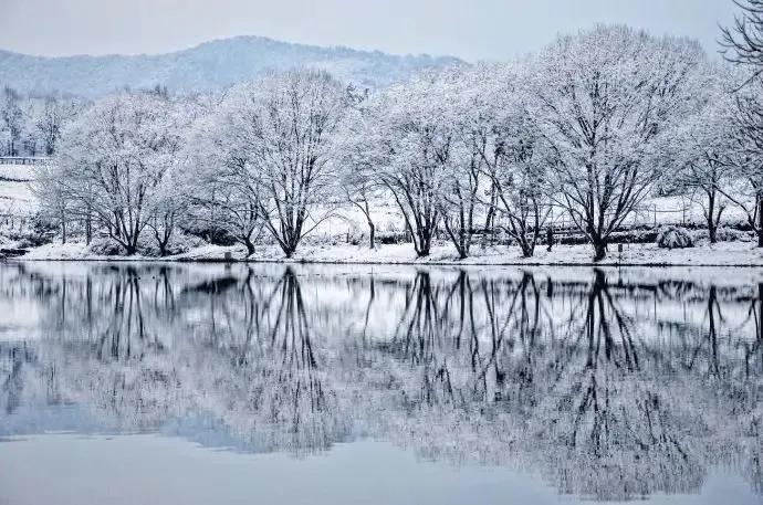 应是天仙狂醉，乱把白云揉碎（唯美大雪诗词二十首）