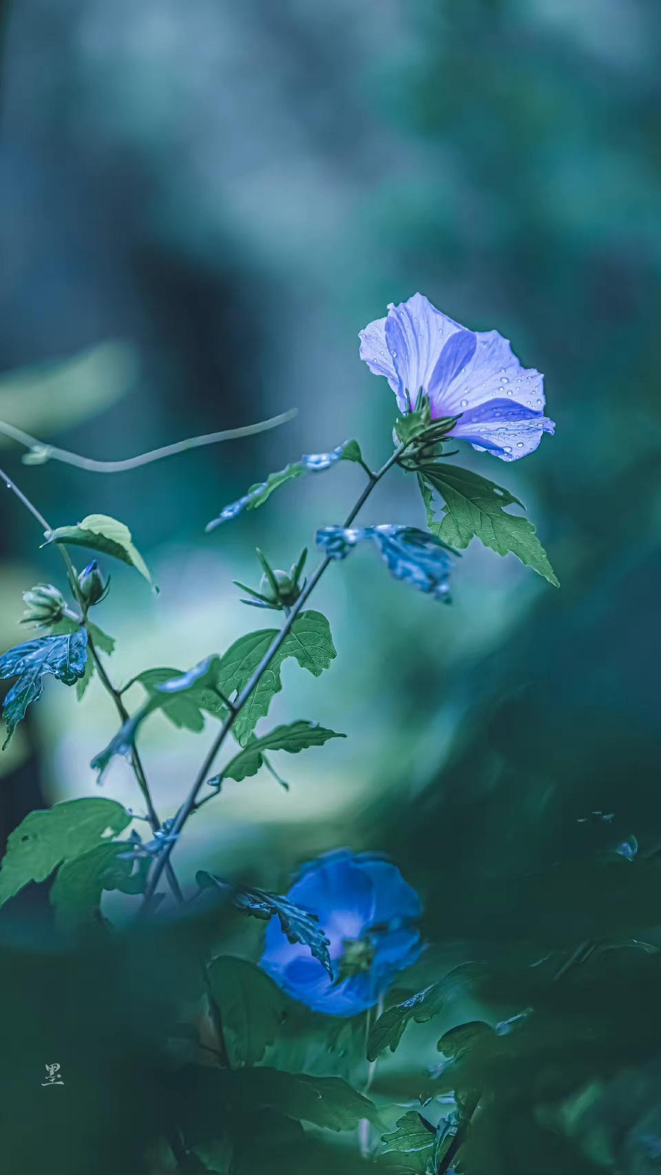 晏几道经典的十首诗词经典（落花人独立，微雨燕双飞）