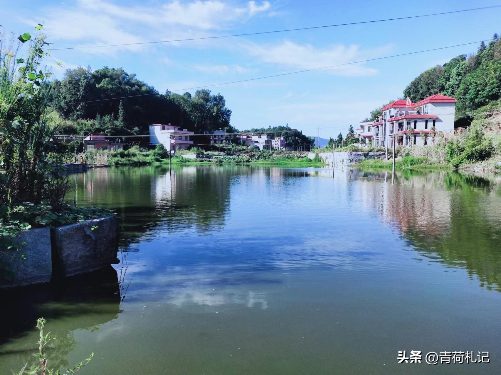 乡村田园生活的古诗词（麦花雪白，稻花飘香）