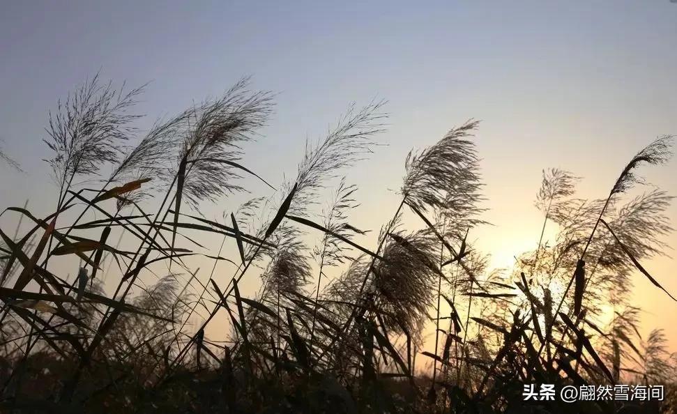 清秋有梦，雨后秋凉（15句优美秋雨诗词）