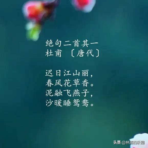 春游古诗名句大全（10首优美的春天诗词）