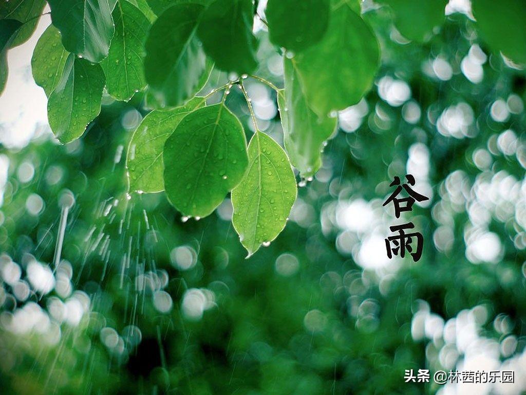 谷雨古诗名句解释（20首谷雨诗词唯美）