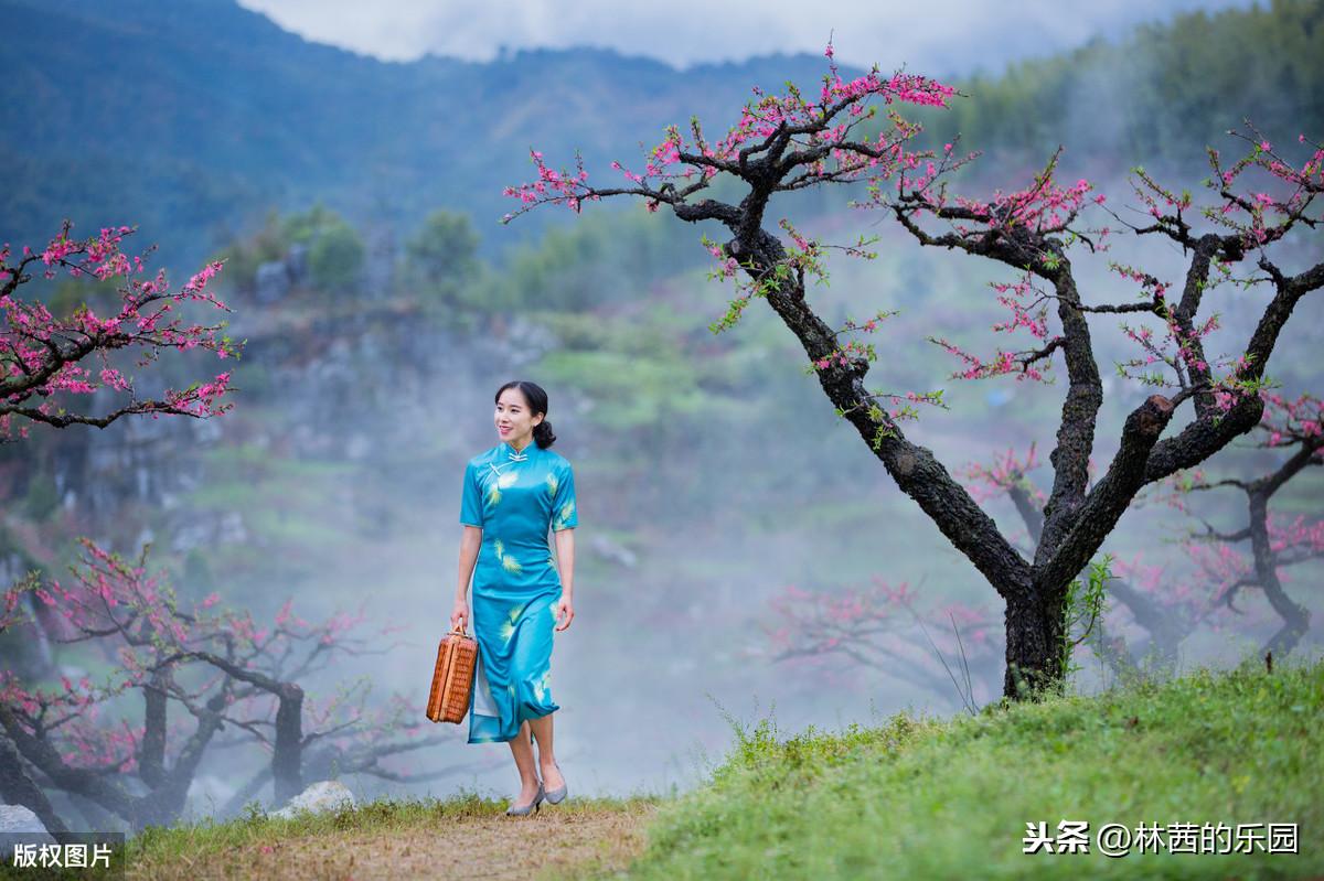 杨柳新绿，杏花春雨（18首描述春游的诗词）