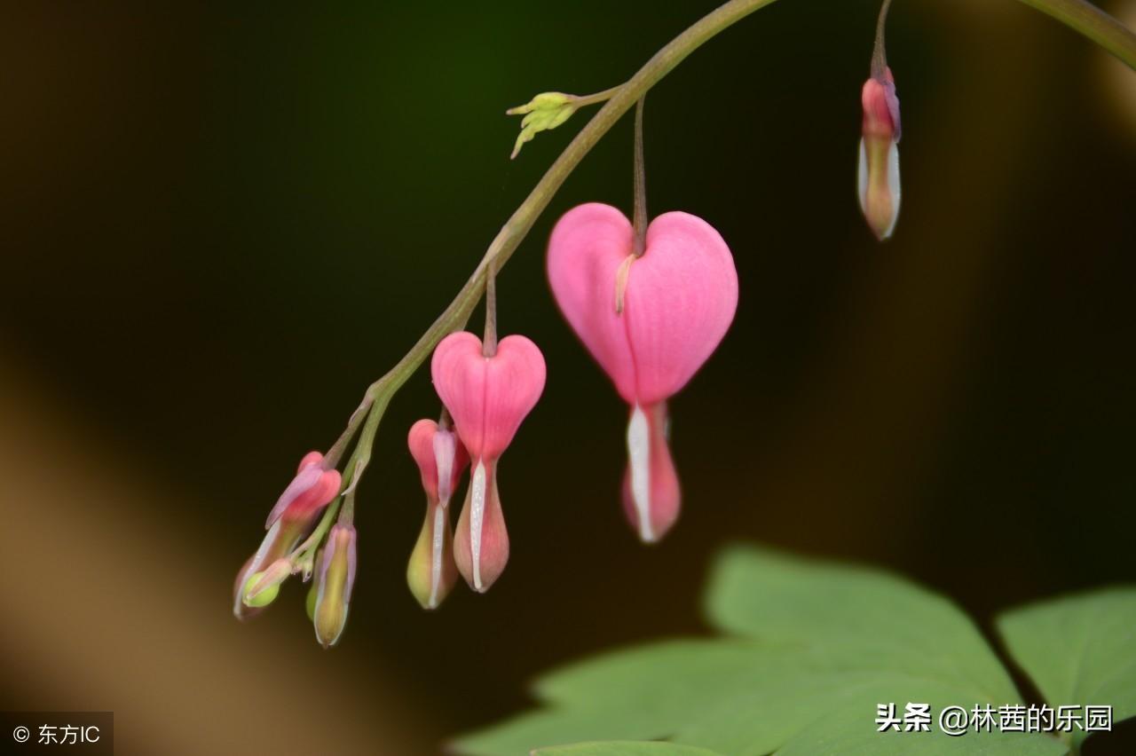 天涯地角有穷时，只有相思无觅处（10首相思的经典诗词）