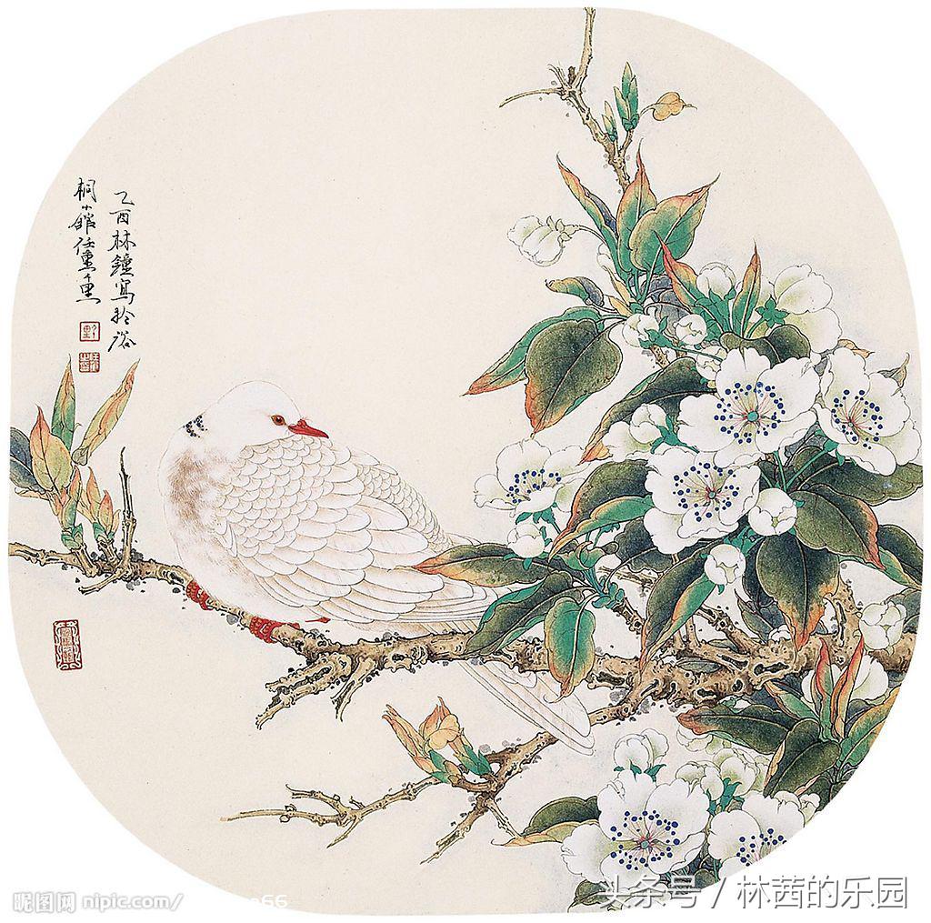 梨花一枝春带雨，香雪海里展风情（20首经典梨花的诗词）