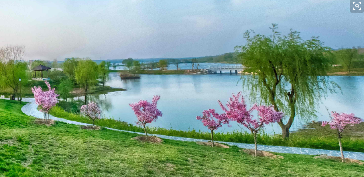 暖风染春色，细雨润诗情（歌咏春天的12首唐诗）