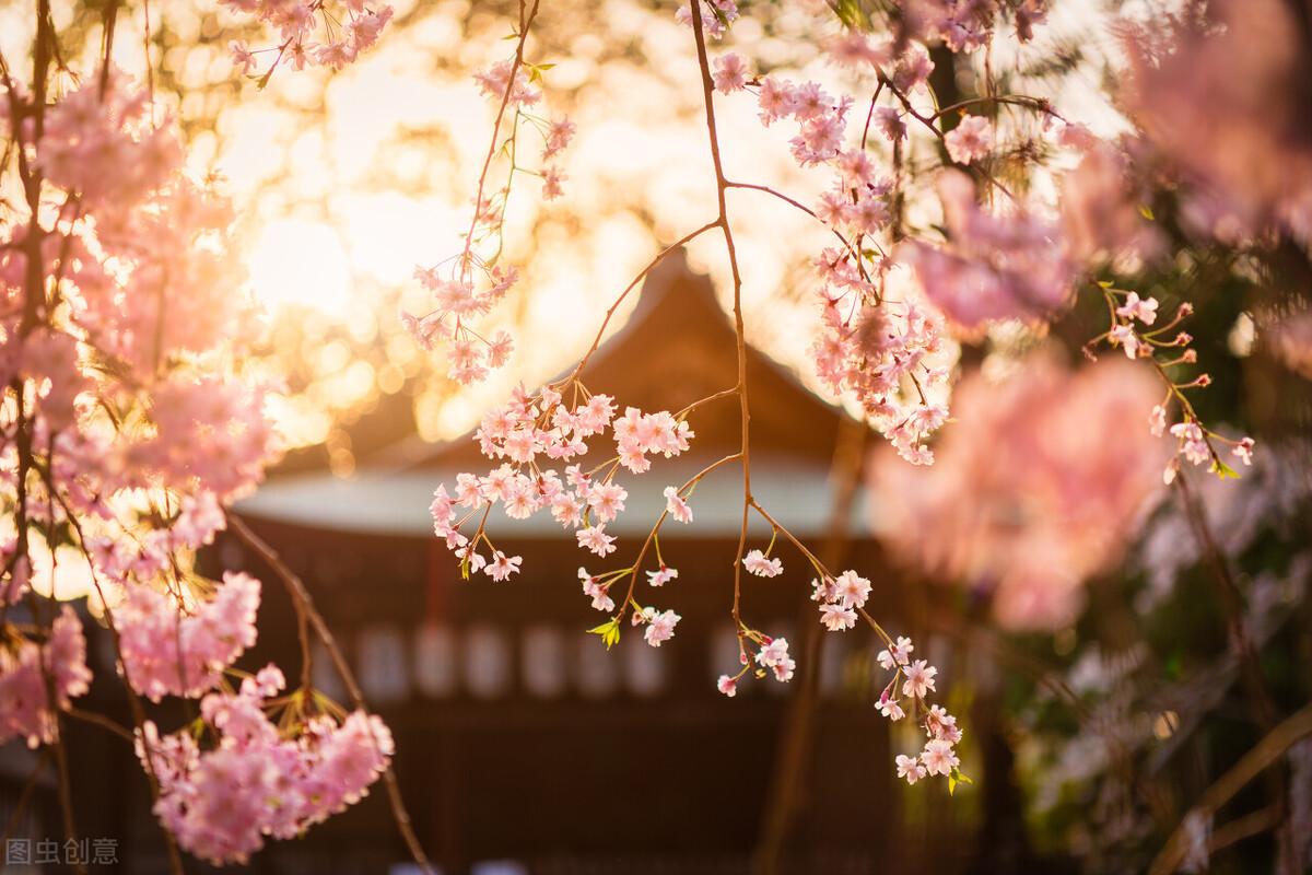 夕阳唯美诗词大全（10首经典诗词里的夕阳）