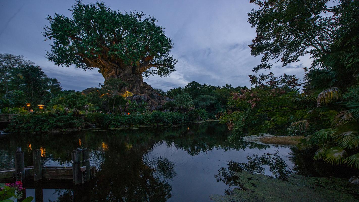 冬天的美景高中作文（《乡村的美景》）