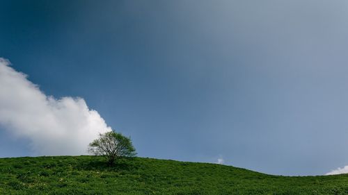 冬天的美景高中作文（《心中的美景》）