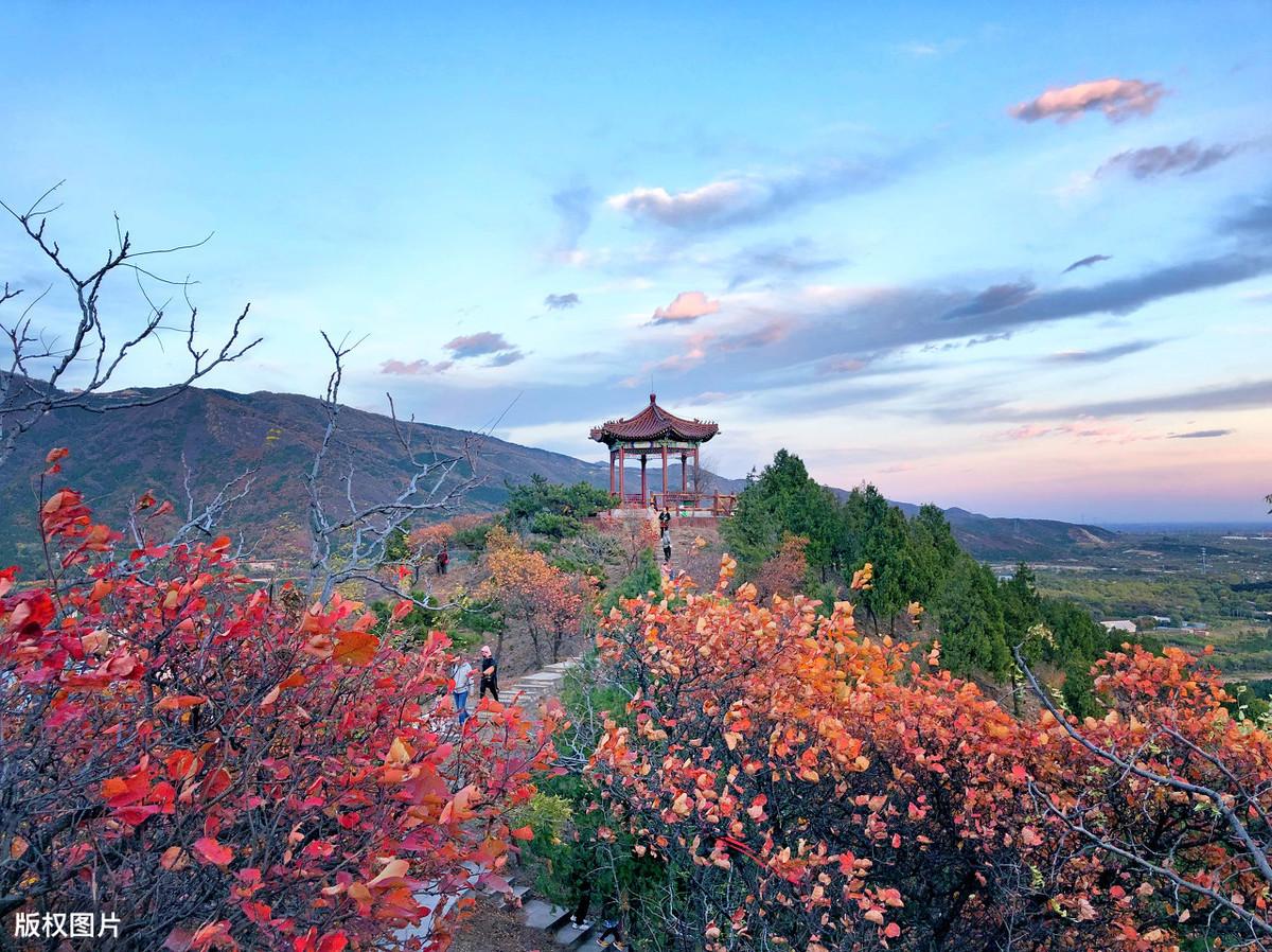 栽培剪伐须勤力，花易凋零草易生（分享20首经典哲理古诗）