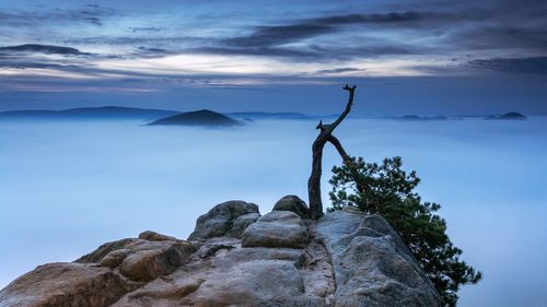 四季的美景高中作文（《田园的美景》）