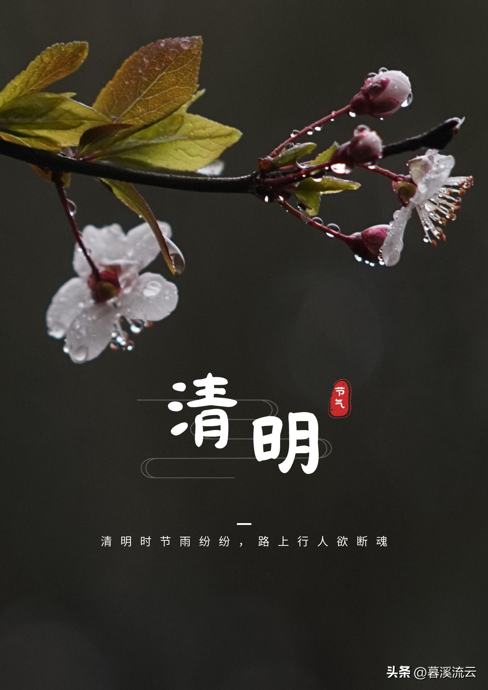 子规清啼，春雨如烟（十首清明诗词唯美）