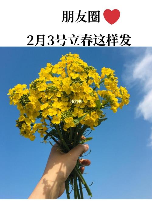 立春该发的短句（立春祝福）