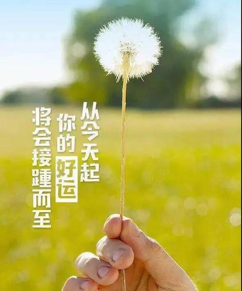 2020年正能量励志的句子（2023正能量励志短句子集锦）