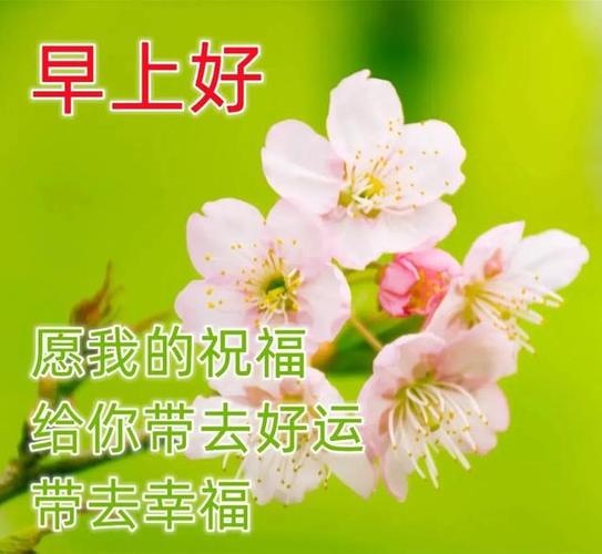 2020年早安问候语大全（用唯美短句送上温暖祝福）