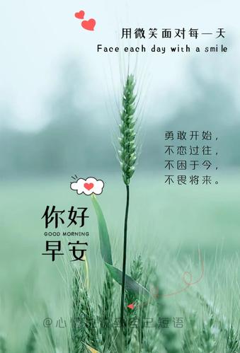 2021年早安朋友圈问候语（清晨的芬芳，温暖的问候）