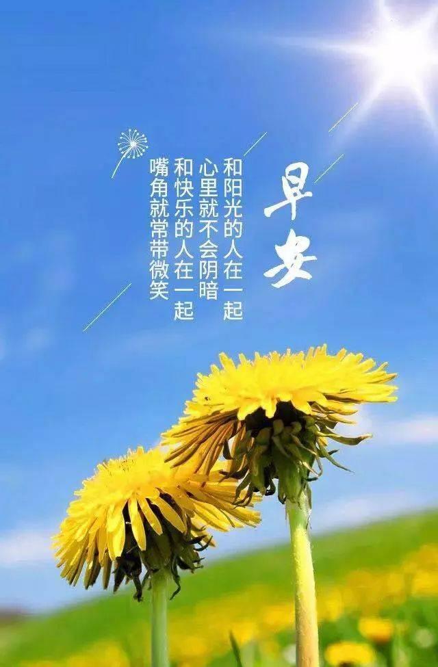 2021年早安朋友圈问候语（清晨的芬芳，温暖的问候）