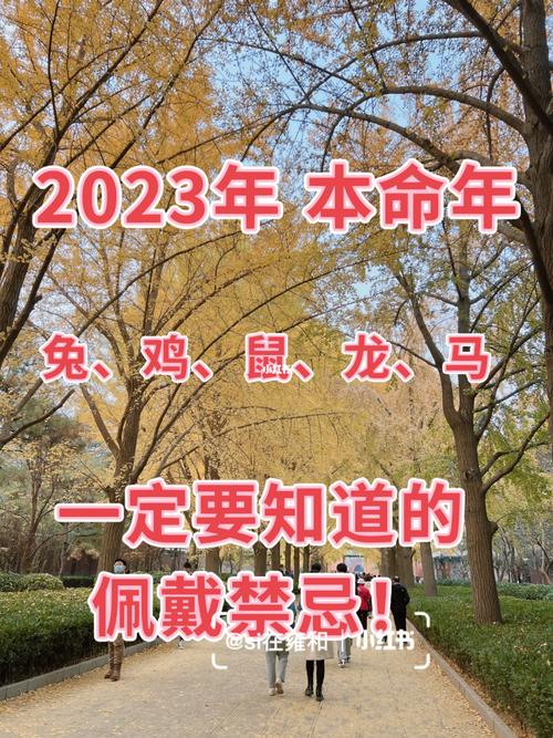 有关立冬经典好句2023的句子有哪些（落叶归根，随心所欲）