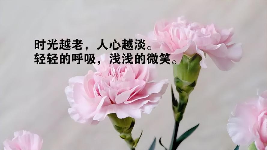 再见最后一天用英语怎么读（时光如梭，人生美好剪影）