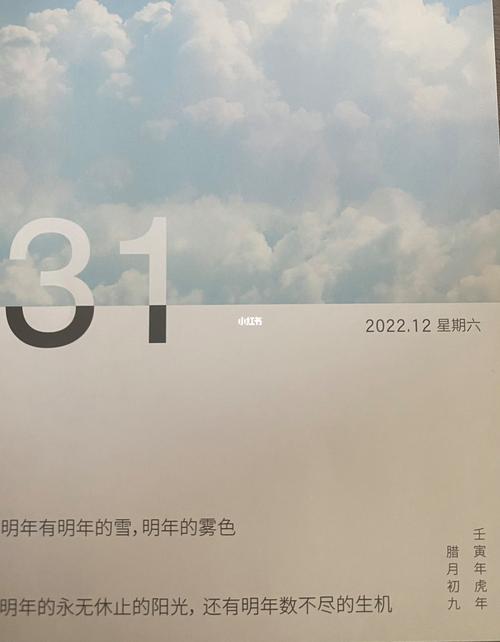 2020再见2021你好的语句（再见2023，你好未来）