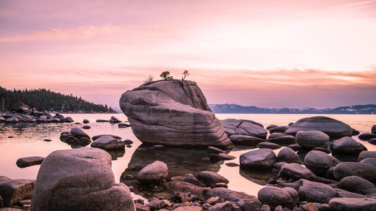 小学的美景高中作文（《夏天的美景》）