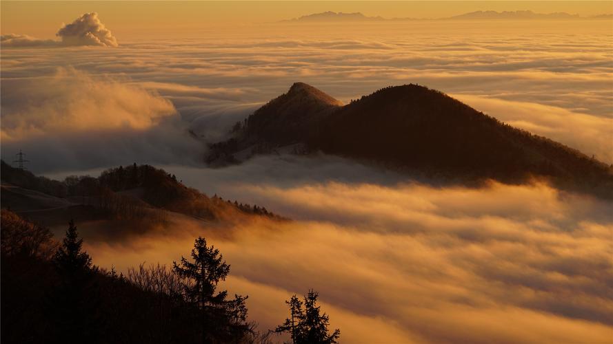 心中的美景高中作文（《雨中的美景》）