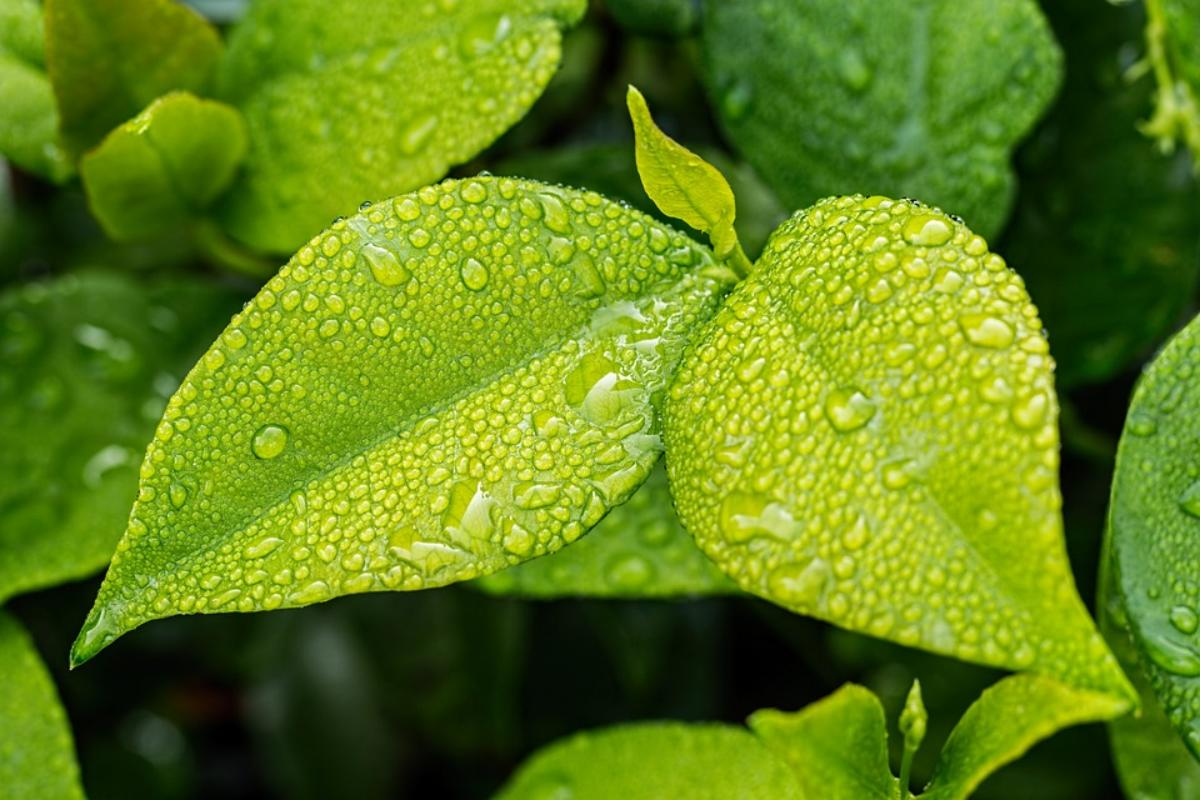 清明雨落，思念成疾（十首经典清明节诗词）