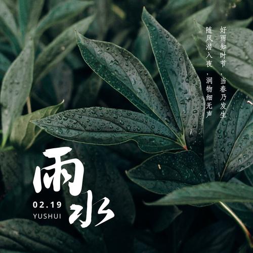 适合雨水节气发朋友圈的句子（2023年雨水节气，春雨润物，心情舒畅）