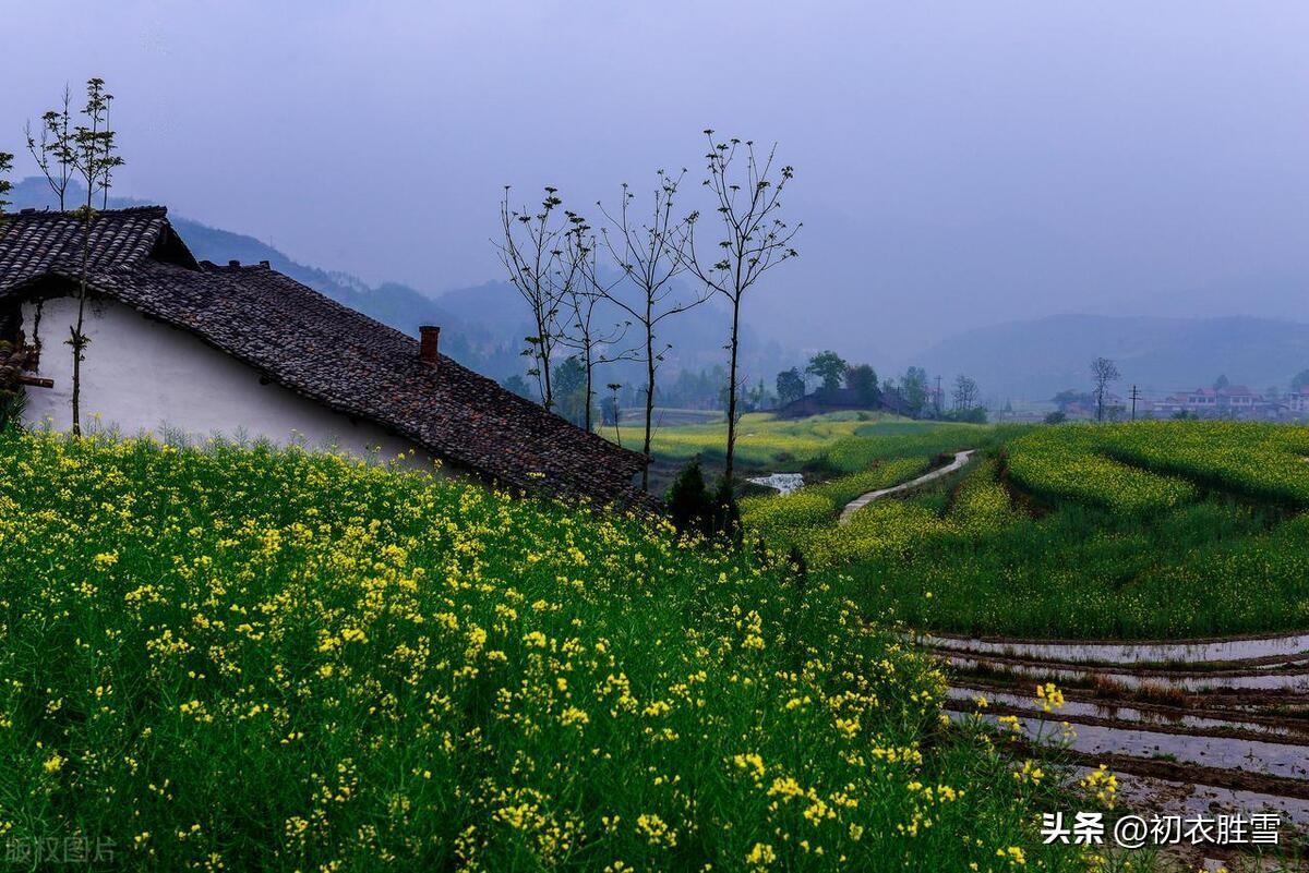 早春经典诗词大全（久雨初晴天气新，风烟草树尽欣欣）