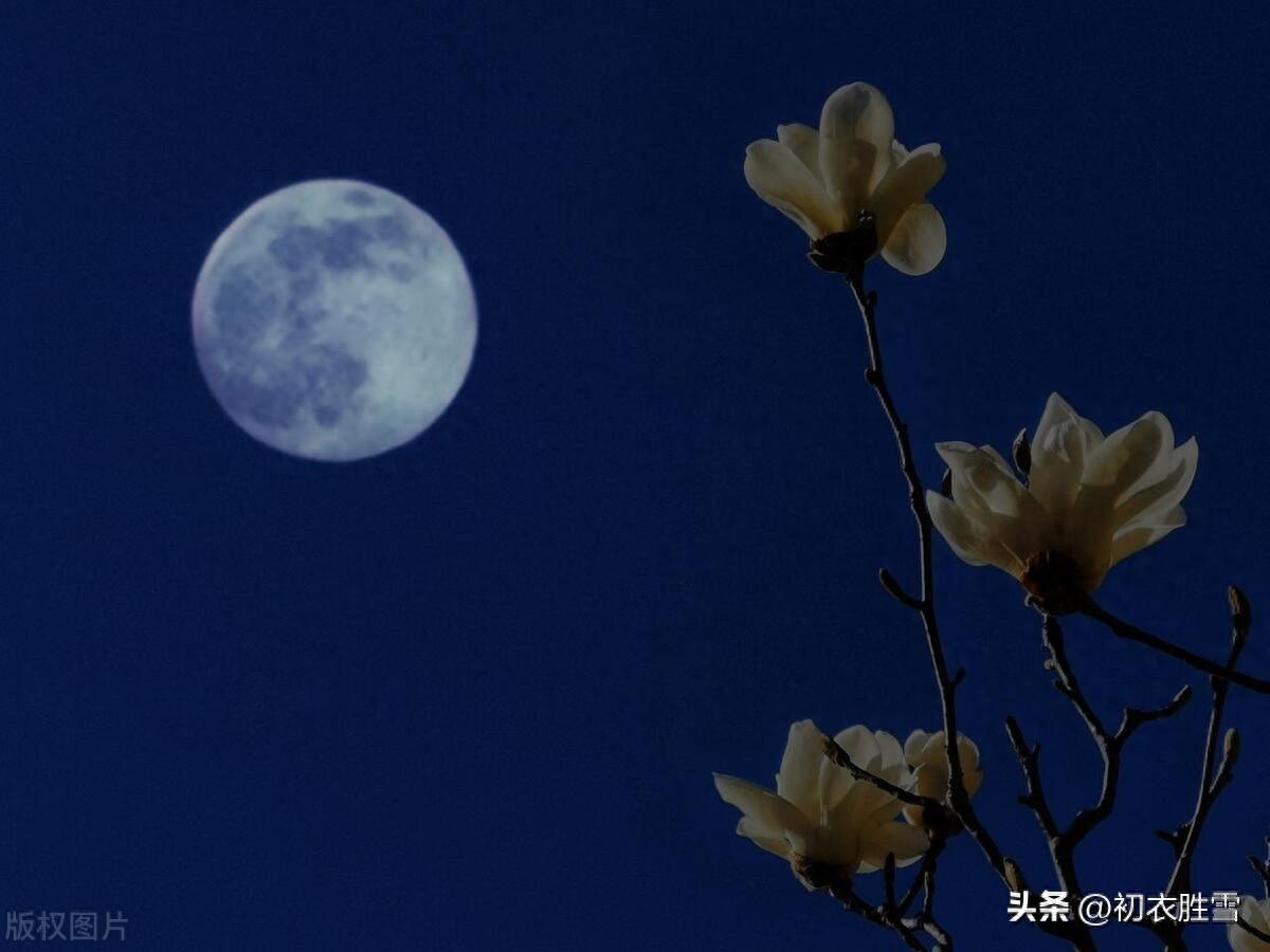 元宵节春月诗词五首（春月正圆春水滑，再逢春月向人圆）