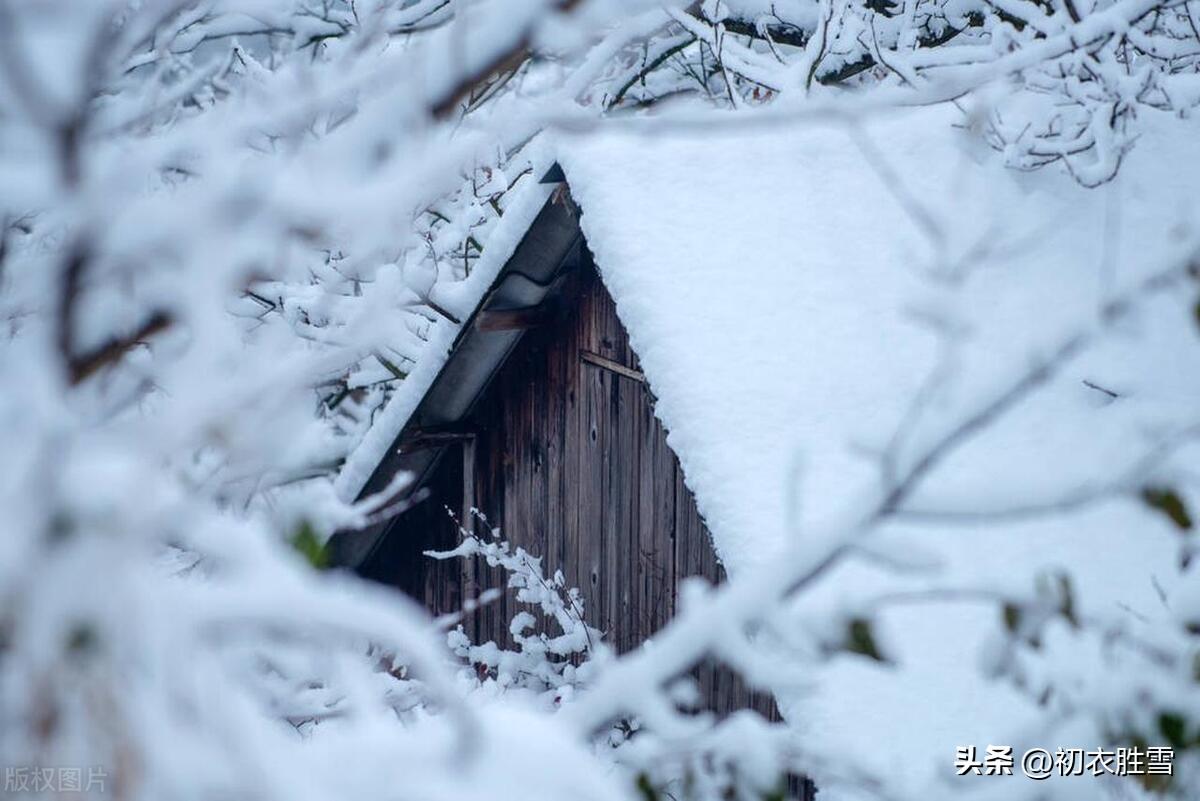 雪霰古诗五首（朔风洒霰雨，风霰暗纷纷）