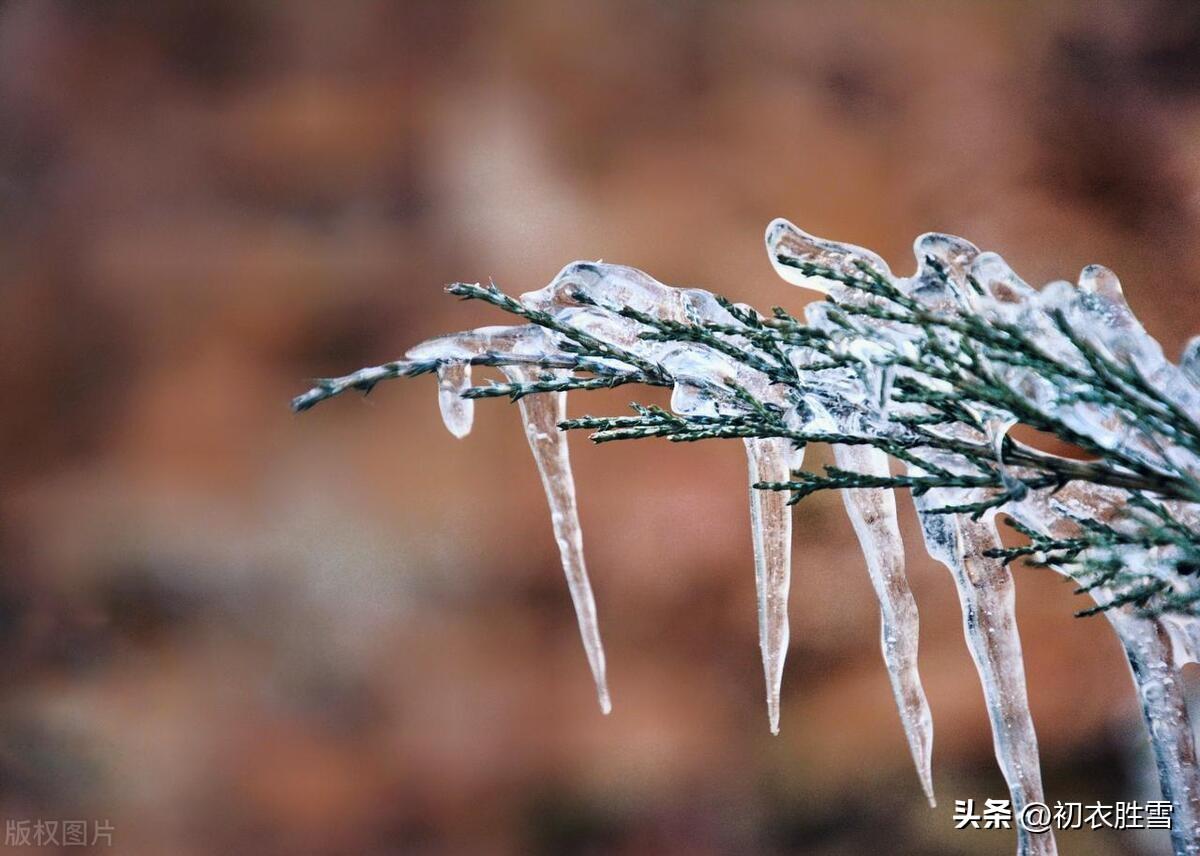 关于描写冬天雨的诗句（古诗中的冻雨五首）