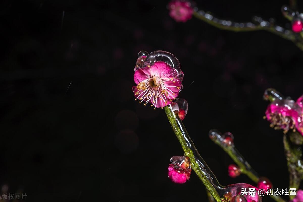 关于描写冬天雨的诗句（古诗中的冻雨五首）