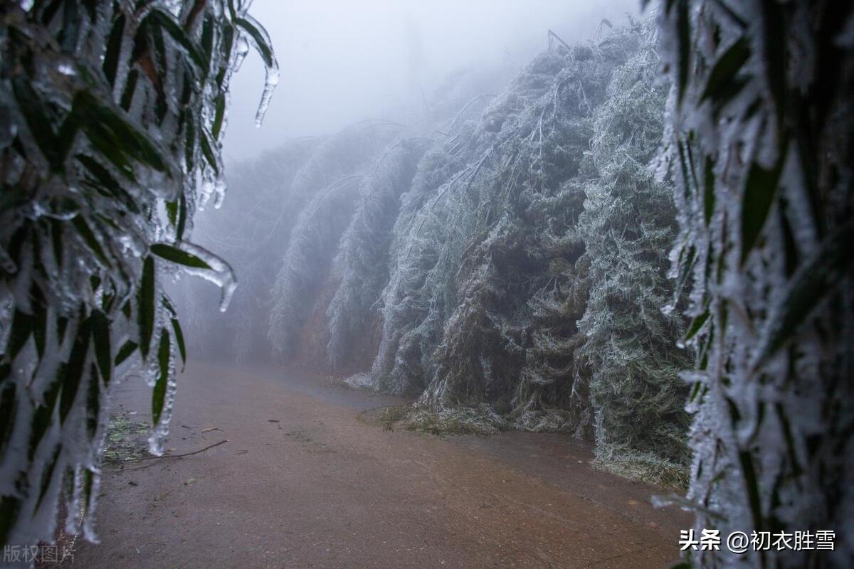 关于描写冬天雨的诗句（古诗中的冻雨五首）