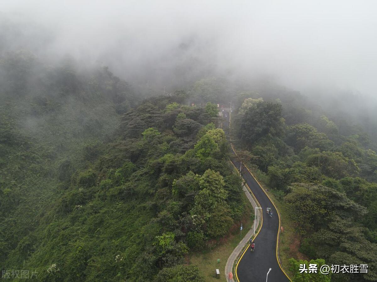 早春春雨古诗五首（霏霏春雨九重天，春雨如烟又若丝）